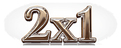 2x1 logo